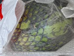 -大润发(明珠店)