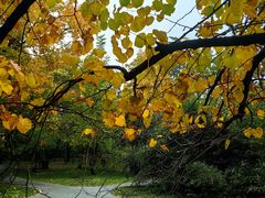 -国家植物园南园