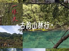 -石台牯牛降景区