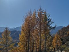 -秦岭风景区