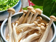 -烹然四季椰子鸡火锅(团结湖总店)