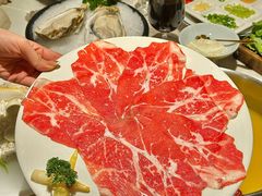 -汤城·料青山
