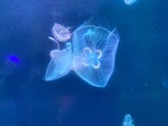 -杭州海底世界