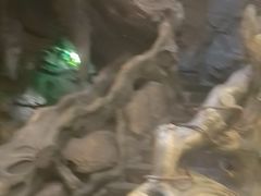 -凯撒城堡西餐厅(颐和国际店)