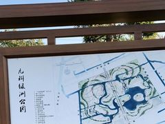 -九科绿洲