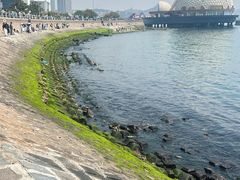 -青岛海滨风景区