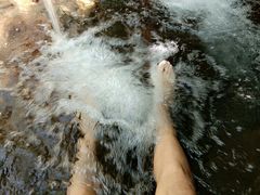 -羚羊峡古栈道森林公园