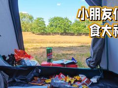 -坝河休闲公园