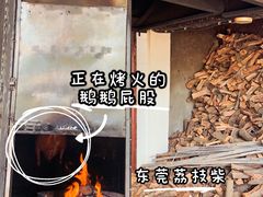 -鹅掂·大岭山烧鹅