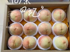 -老袁家蜜桃农场·阳山水蜜桃