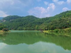 -广州白江湖森林公园