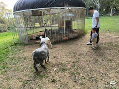 -福建鲤鱼洲酒店