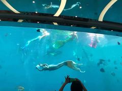 -瑞德姆美人鱼海底演艺主题餐厅(亚龙湾店)