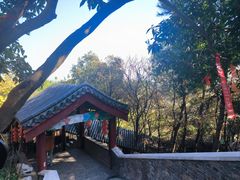 -句容茅山景区
