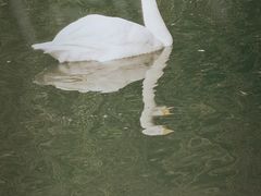 -宛园