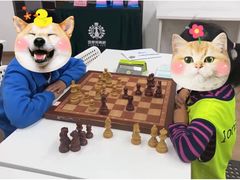 -常青藤国际象棋(新奥店)