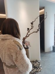 -C-18 SALON