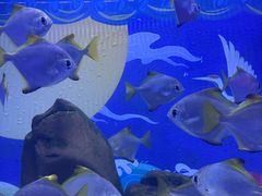-烟台海昌鲸鲨海洋公园
