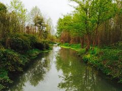 -桤木河湿地公园