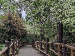-青龙山国家森林公园
