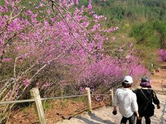-天台山赤城山景区