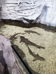 -Zoolung Zoolung动物主题公园(海信广场店)