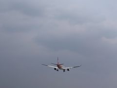 -空港花田景区