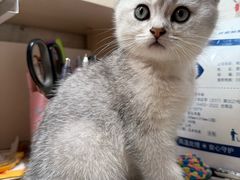 -贝康宠物医院·犬猫全科·小动物特色诊疗中心(东环路店)
