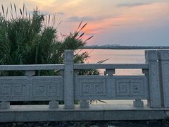 -七的湖·晚芳亭·阳澄湖农家菜·大闸蟹(莲花岛店)