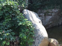 -连云港云龙涧原生态风景区