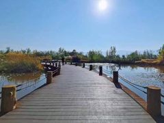 -西昌邛海湿地