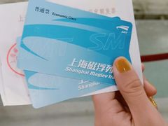 -龙阳路磁悬浮列车总站-停车场