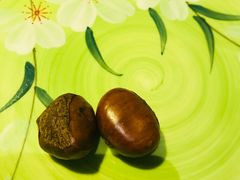 -小宝栗子(嘉华国际商业中心店)