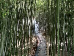 -竹泉村旅游度假区