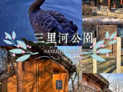 -三里河公园