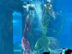 -嘉兴海底世界