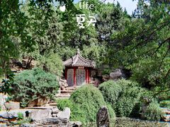 -陶然亭公园