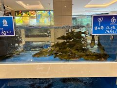 -双井轩(双井店)