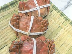 -蟹天蟹地农家菜·阳澄湖大闸蟹(浅水湾店)