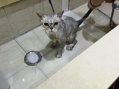 -暖阳宠物医院·犬猫康复中心·骨科