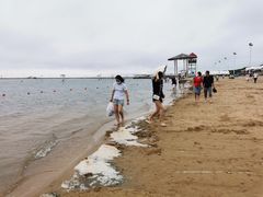 -碧海金沙