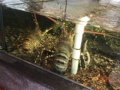 -顺德了能馆(虎门店)