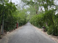-水磨沟公园