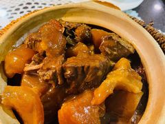 牛腩牛筋萝卜煲-熠盛粤味·顺德桑拿鸡(永康路店)