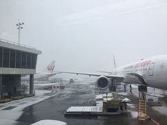 -约翰·菲茨杰拉德·肯尼迪国际机场