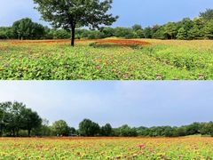 -沉浸北京·团建旅行·密室剧本杀·年会会议轰趴拓展
