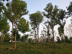 -象湖生态湿地公园