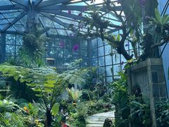 -东莞植物园
