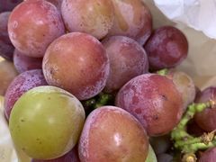 -马陆小张葡萄园农家乐