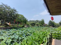 -广州莲花山旅游区